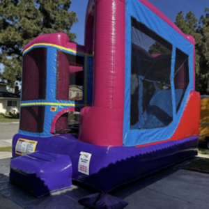 17x15 Backyard Combo Slide 2